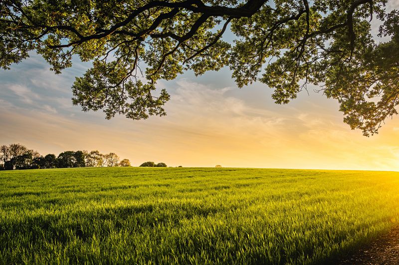 2 belangrijke tips tegen zomerse droogte op boerderij