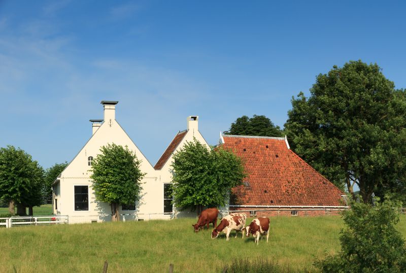 Een boerderij kopen? Stel uzelf deze 3 vragen