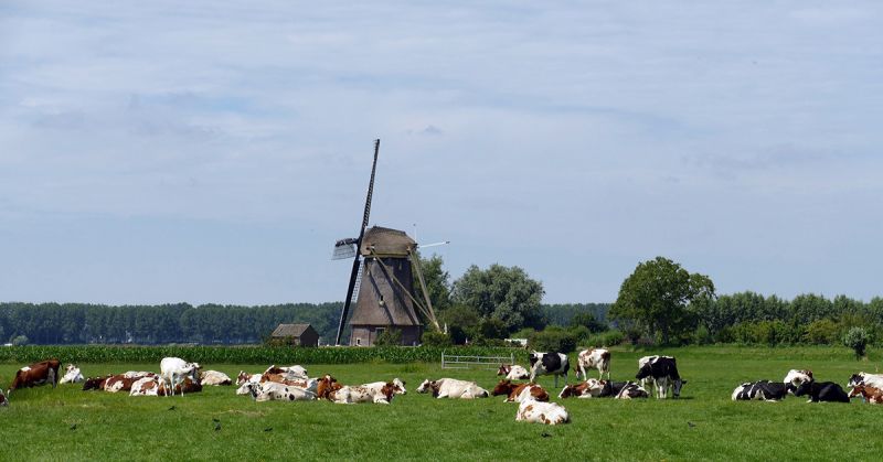 Afromingspercentage fosfaatrechten verhoogd