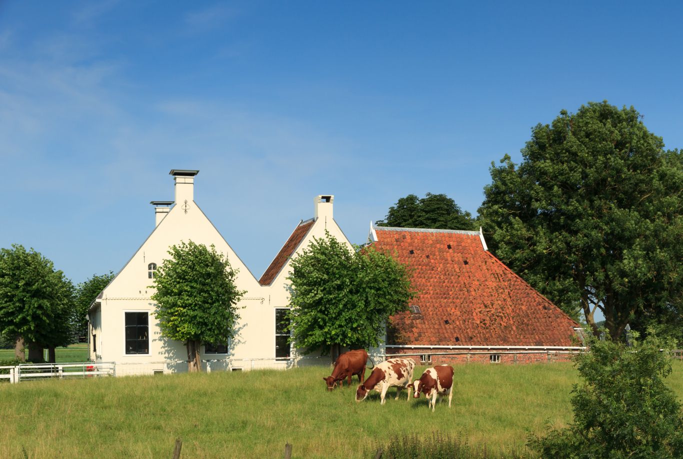 Boerderijen Drenthe Aanbod te koop en te huur